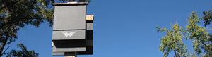 Pole mounted black bat house against blue sky