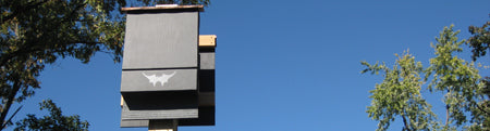 Pole mounted black bat house against blue sky