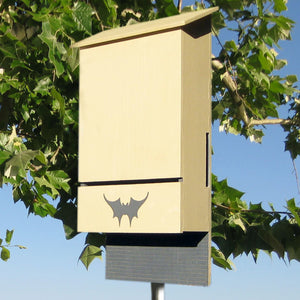 Austin Batworks' four-chambered bat box with foliage in the background